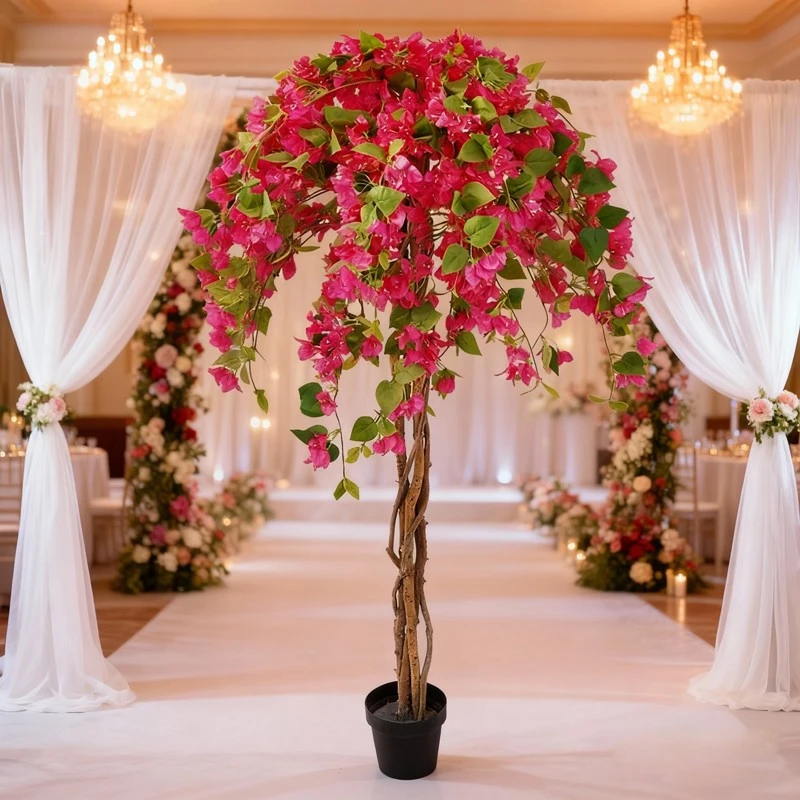 product-800-800