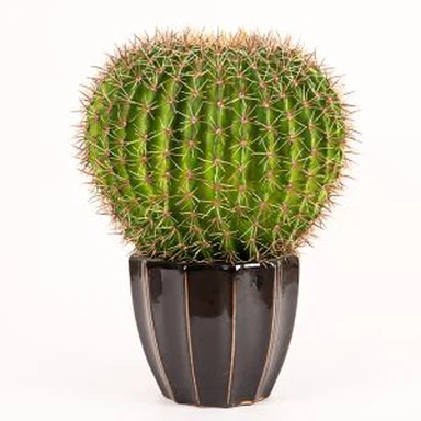 Kunstig kaktusball