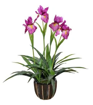 Kunstig Cattleya Orchid Plant